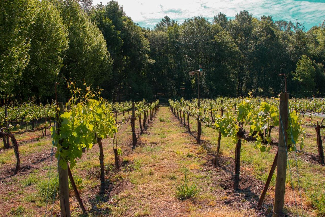 Quinta de Requeixo Guimarães Exterior foto