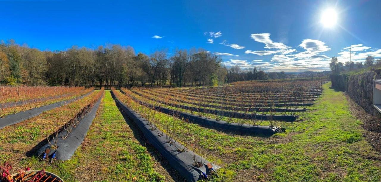 Quinta de Requeixo Guimarães Exterior foto